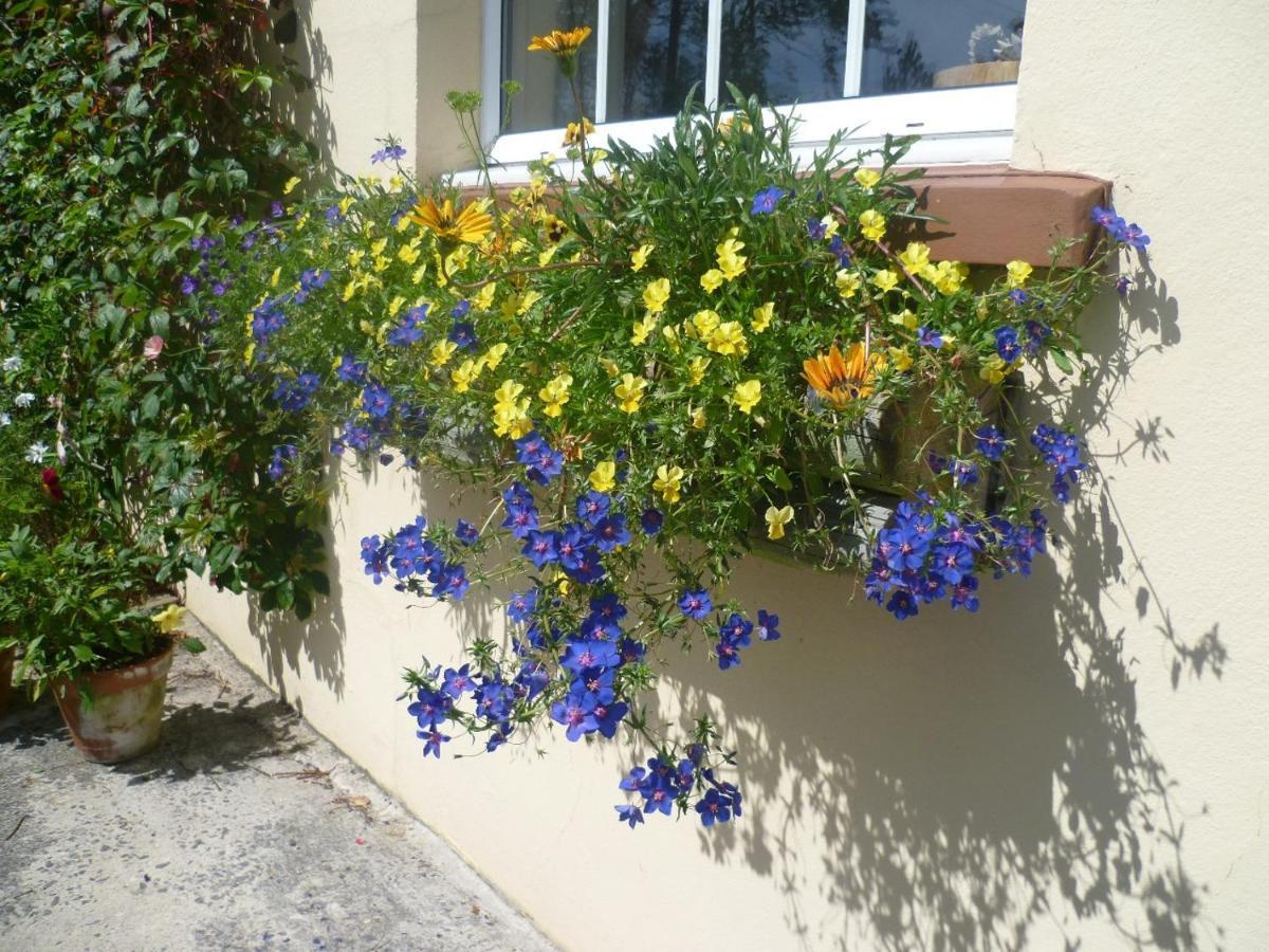 North Headborough Bed and Breakfast Haverfordwest Exteriör bild